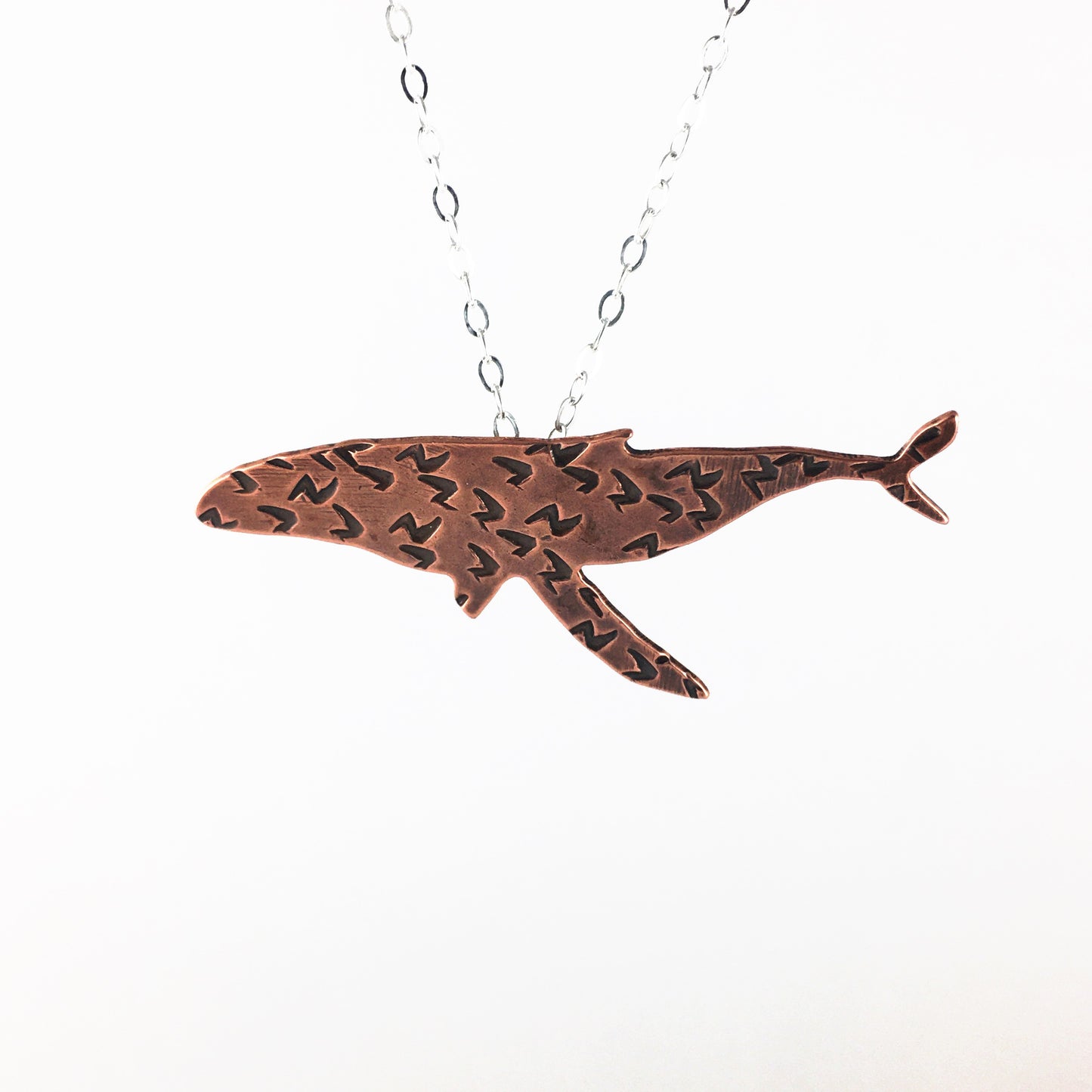 Humpback Whale Familiar with Lightning