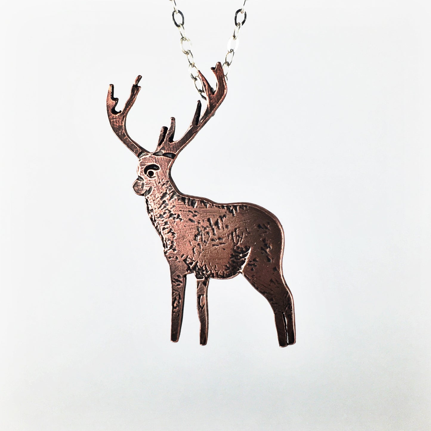 Stag Familiar with Realistic Texture